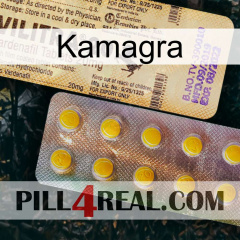 Kamagra new06